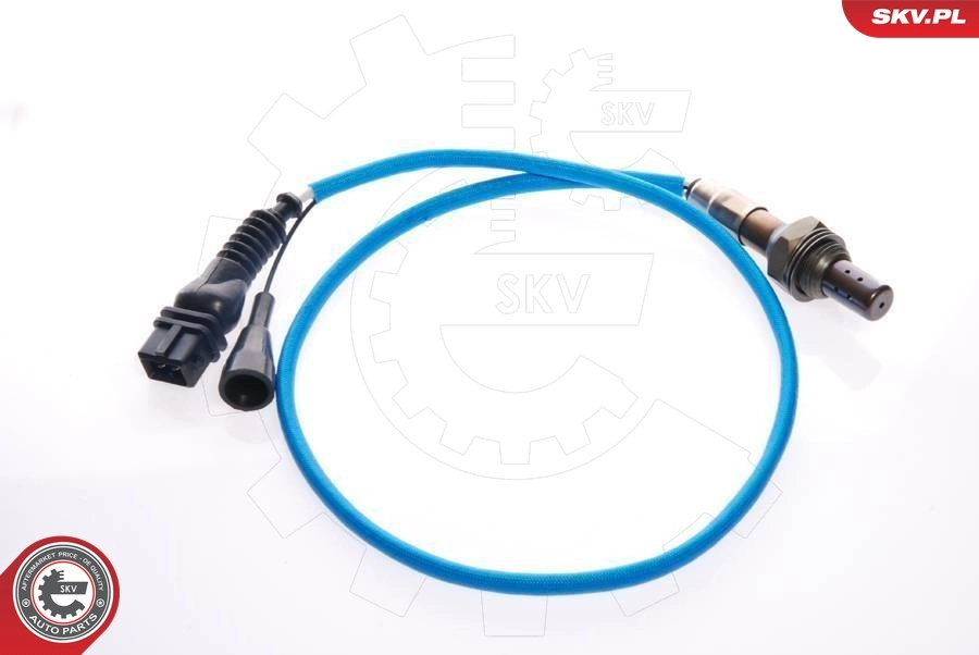 Oxygen Sensor